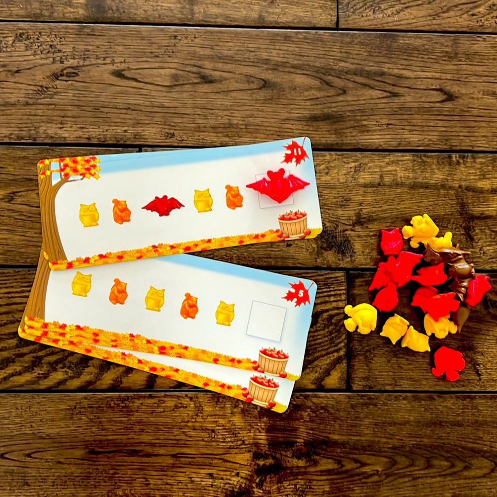 Patterning Cards and Manipulatives